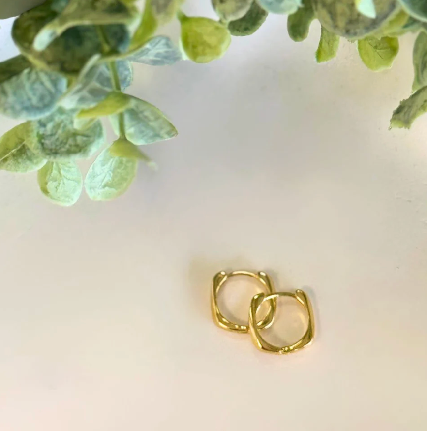 Queen of the foxes Earrings - Simple Sleepers - Plain