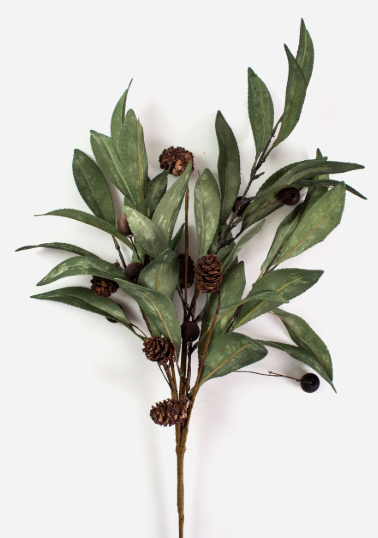 Eucalyptus &amp; Brown Berry Wood Branch