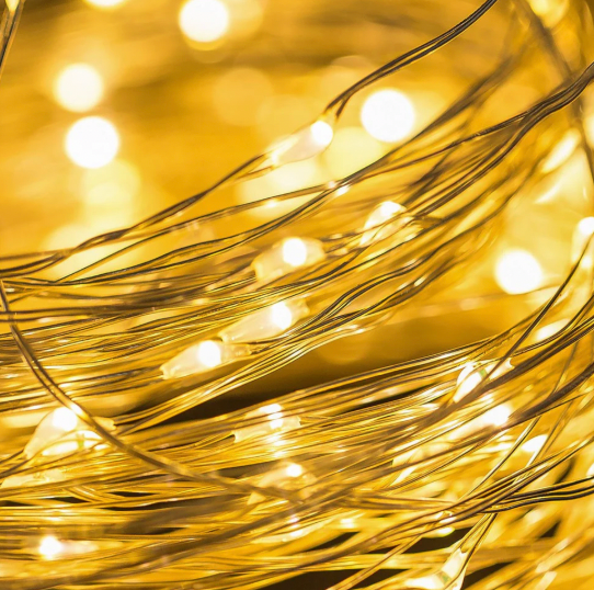 2m Silver Warm White 20 LED Seed Lights String