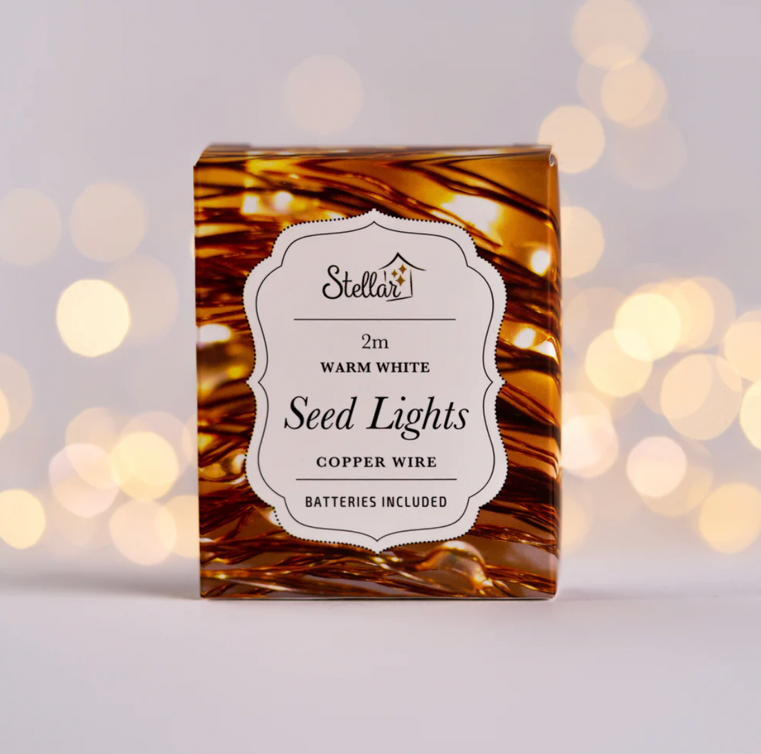 2m Copper Warm White 20 LED Seed Lights