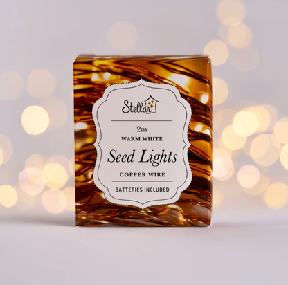 2m Copper Warm White 20 LED Seed Lights