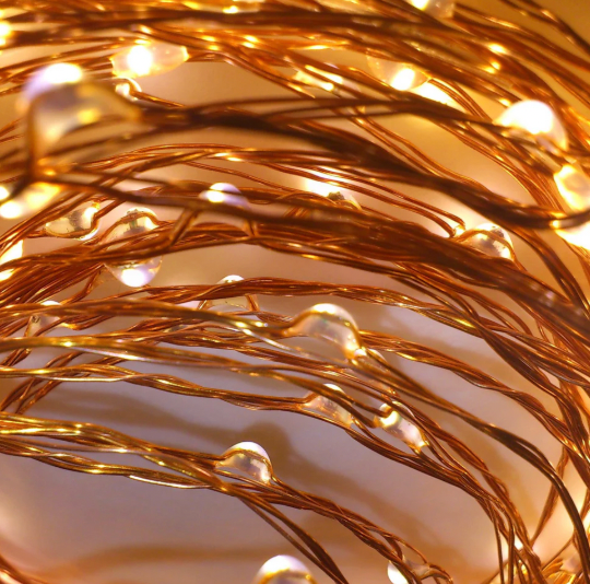 5m AA Copper Warm White 50 LED Seed Lights