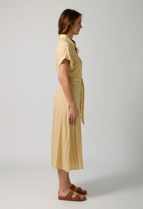 Kinsley Dress Citrus Stripe