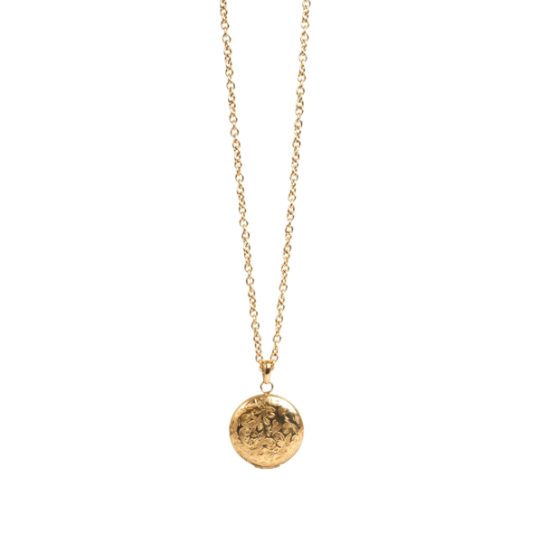 A&amp;C Pure Steel Necklace Gold Flower Locket