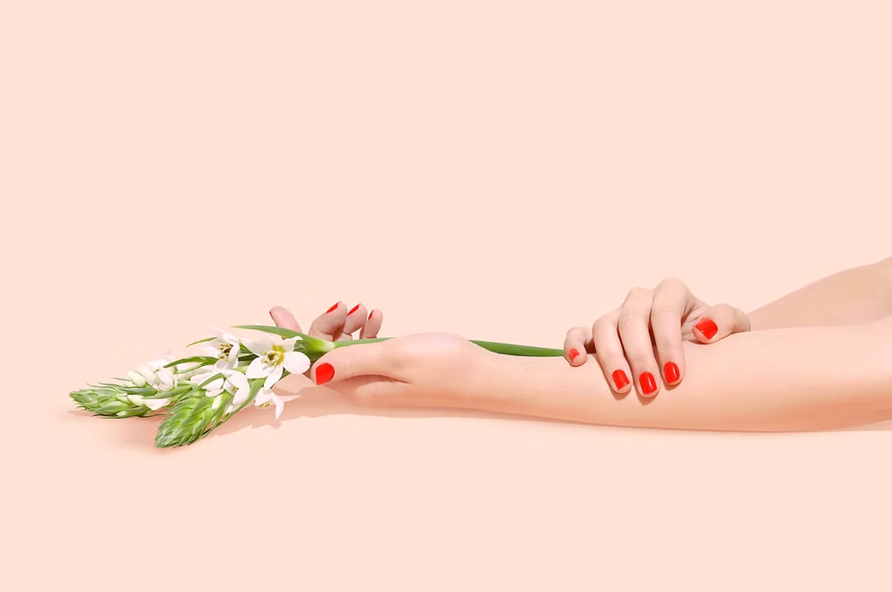 Botanical Rosewater + Vanilla Hand cream