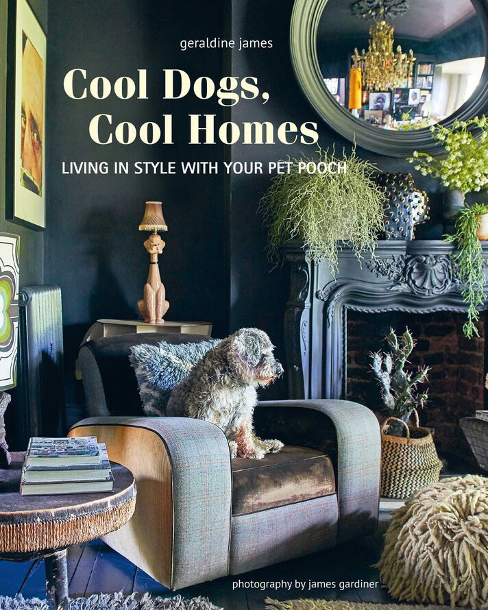 Cool Dogs, Cool Homes Living in style with your pet pooch - Geraldine James