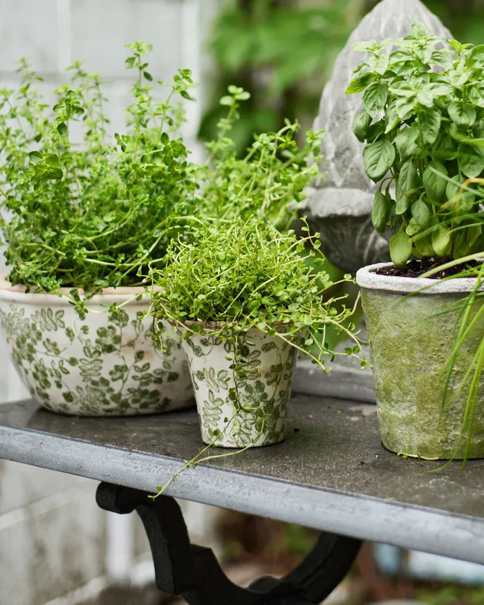 French Country Collections  Botanical Fluted Pot Small