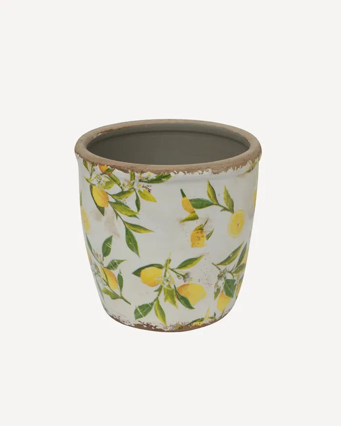 French Country Collections Botanical Lemon Pot Large