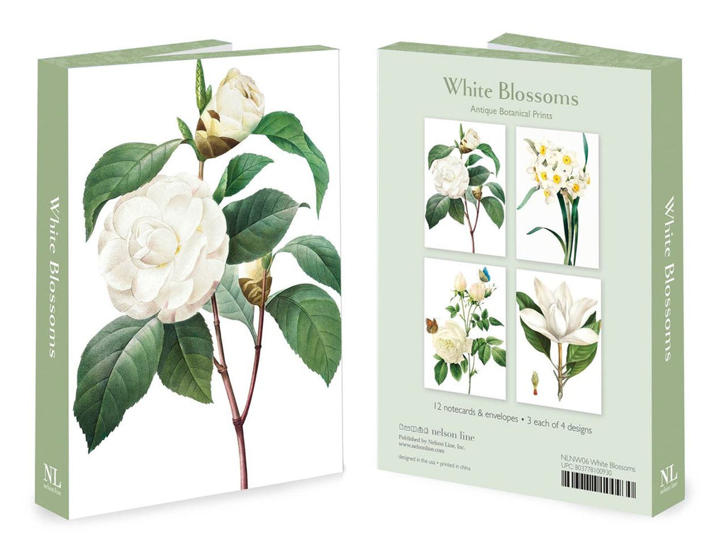 Pierre-Joseph Redouté Illustrated Box set of 12 Cards - White Blossom