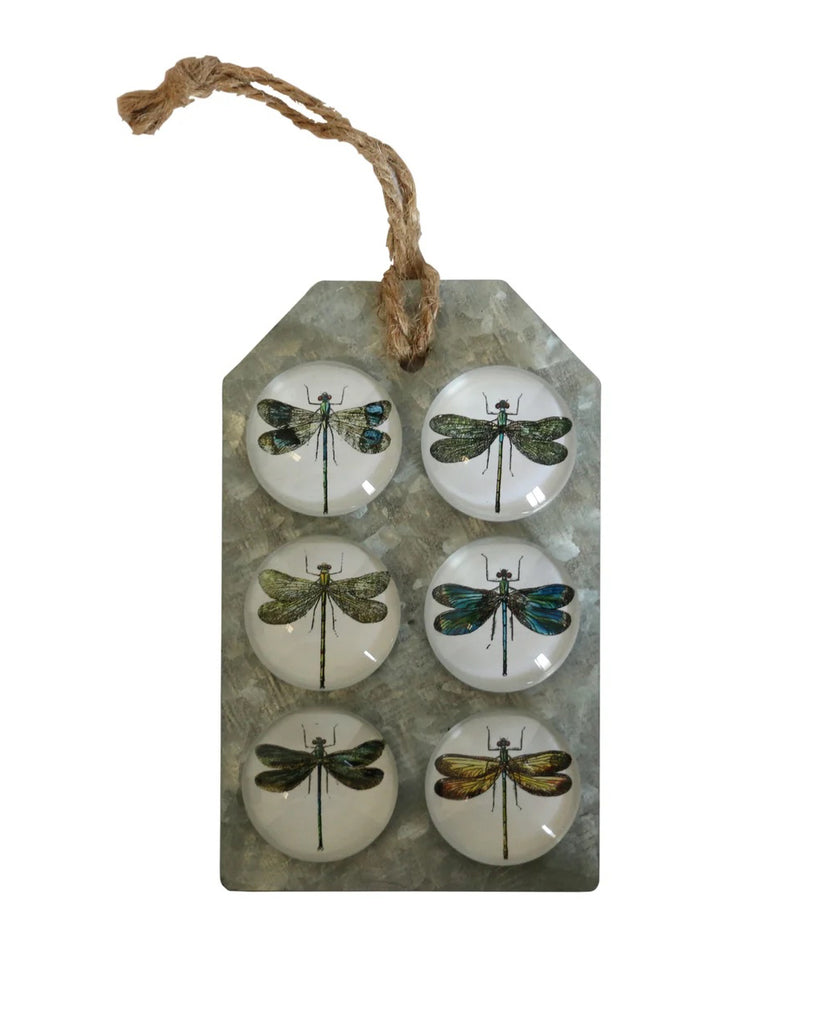 CC Interiors Set of 6 Glass Magnets- dragonfly