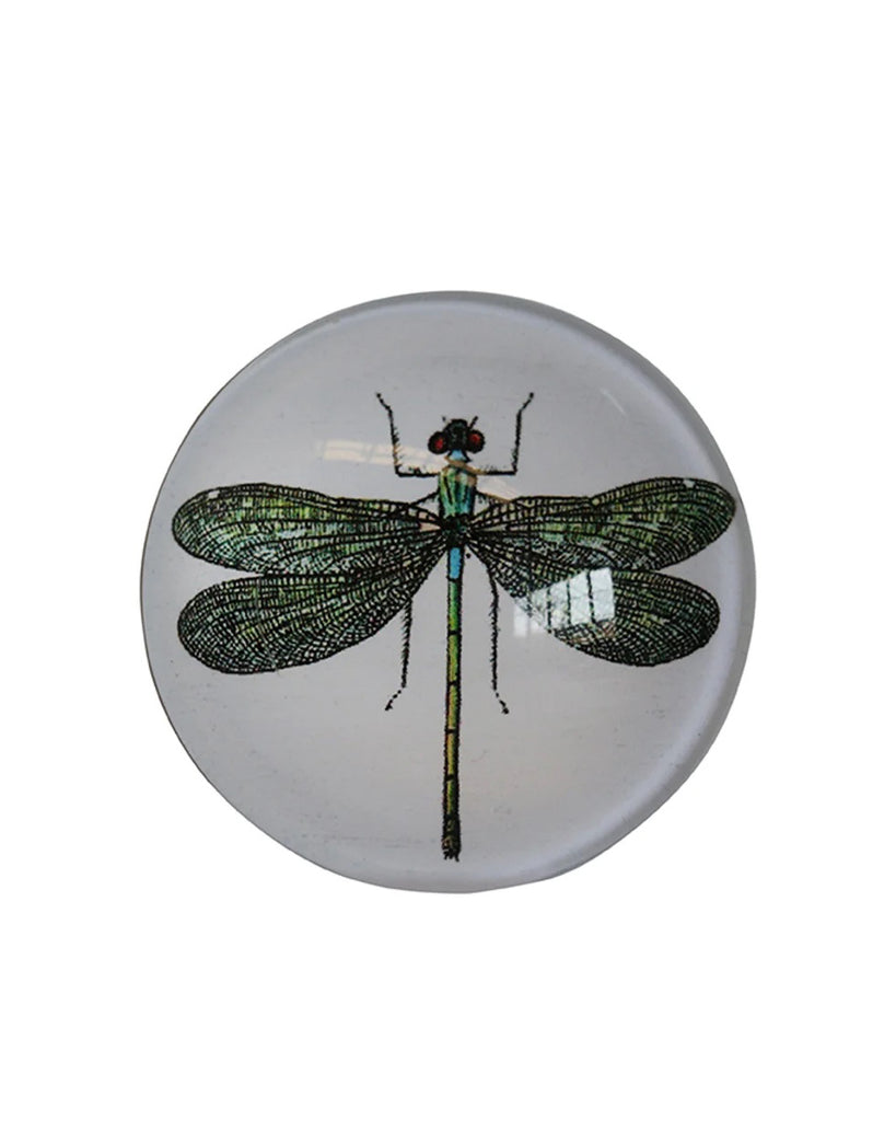 CC Interiors Set of 6 Glass Magnets- dragonfly
