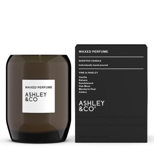 Ashely & Co Waxed Perfume Candle - Vine & Paisley 